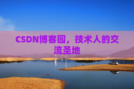 CSDN博客园，技术人的交流圣地